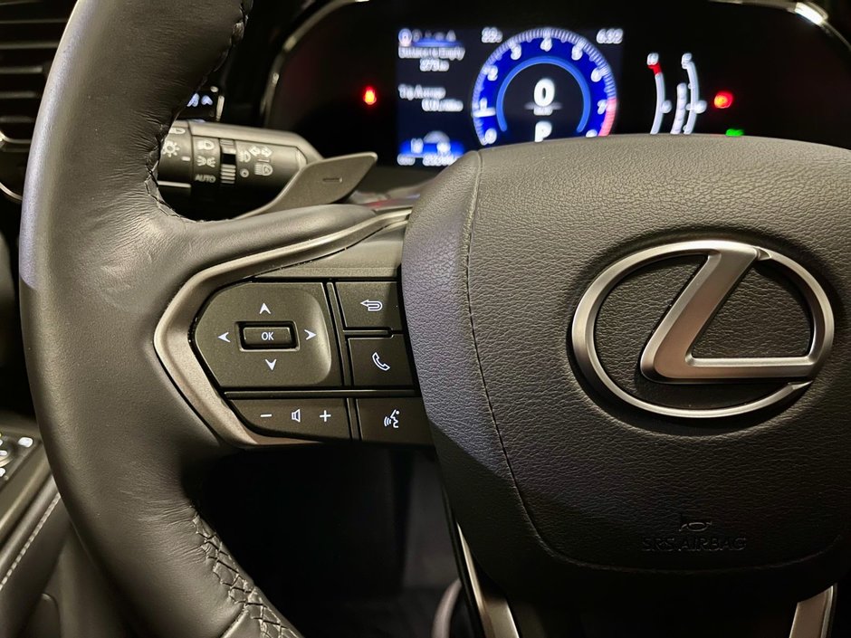 2024 Lexus NX 250-15
