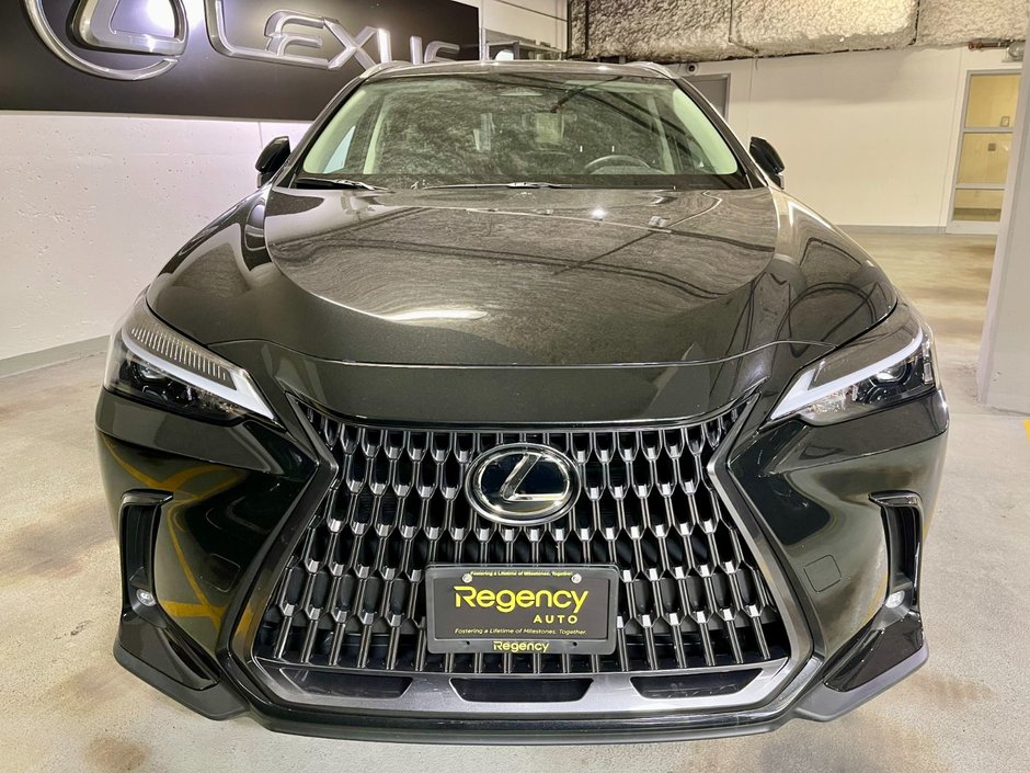 2024 Lexus NX 250-2