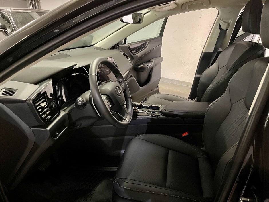 2024 Lexus NX 250-10