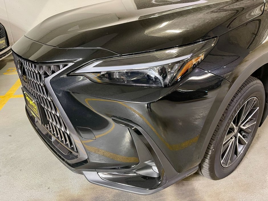 2024 Lexus NX 250-1