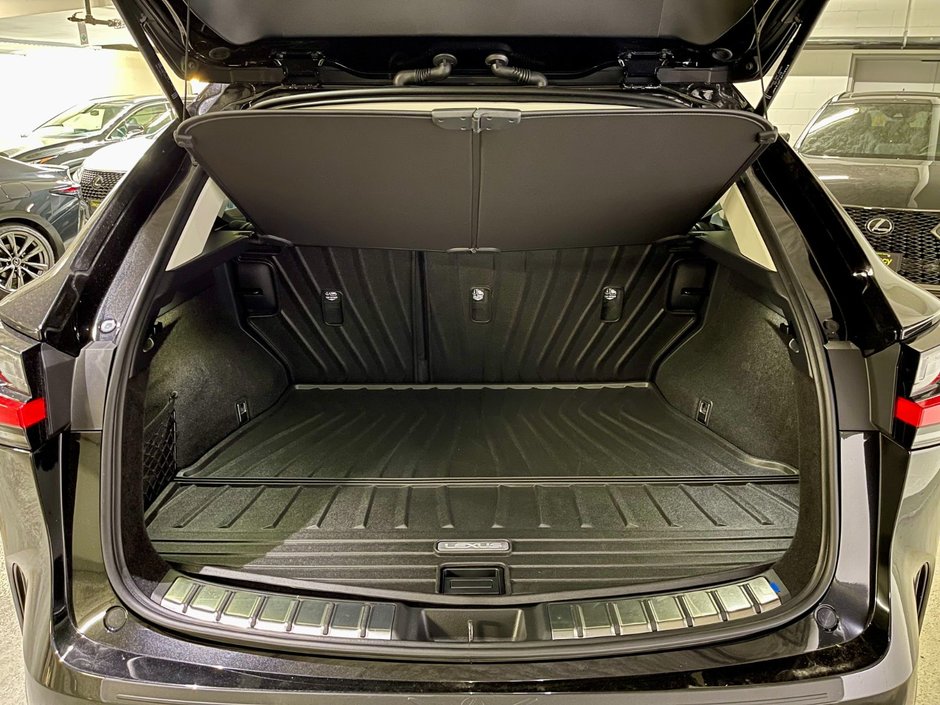 2024 Lexus NX 250-11