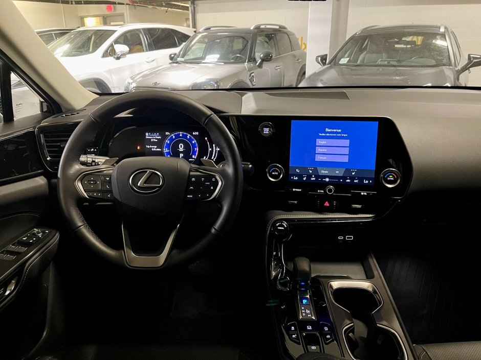 2024 Lexus NX 250-14