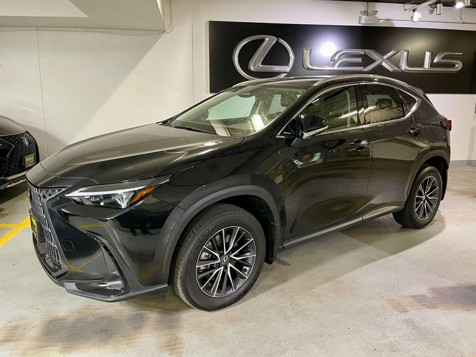 2024 Lexus NX 250-0