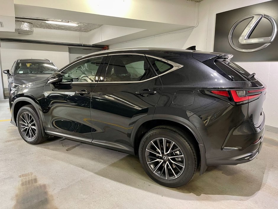 2024 Lexus NX 250-5