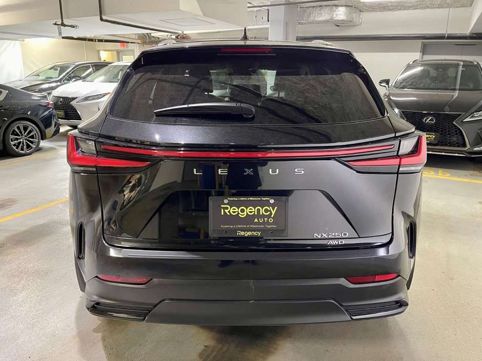 2024 Lexus NX 250-4