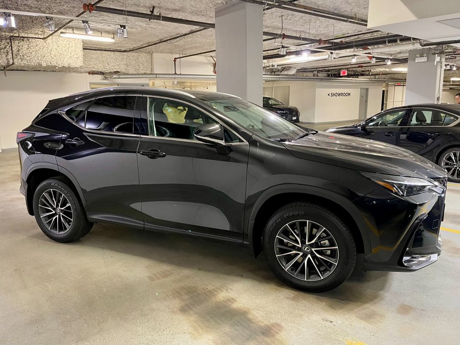 2024 Lexus NX 250-3