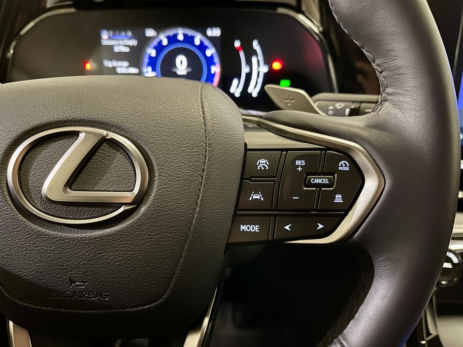 2024 Lexus NX 250-16