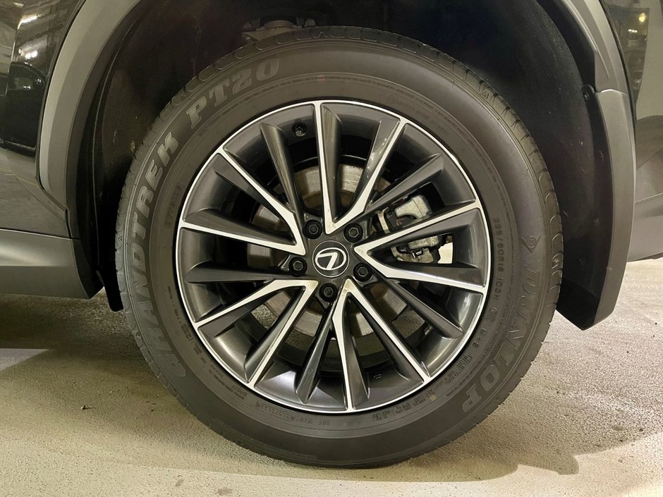 2024 Lexus NX 250-6