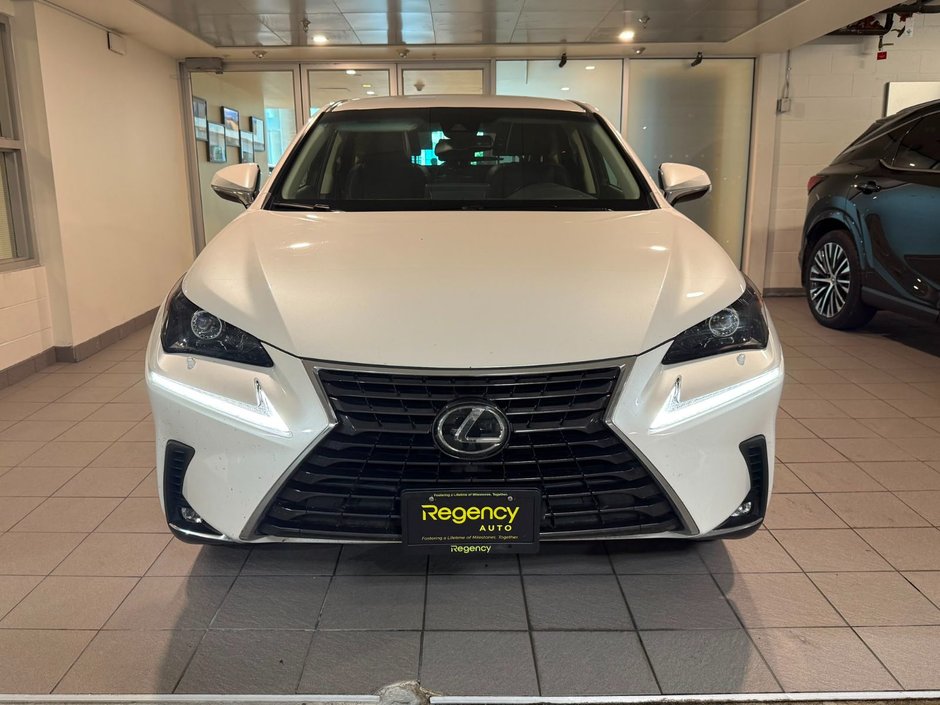 2019 Lexus NX 300 Standard-1