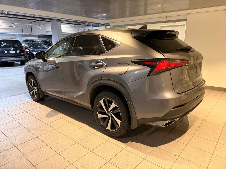 2021 Lexus NX 300-3