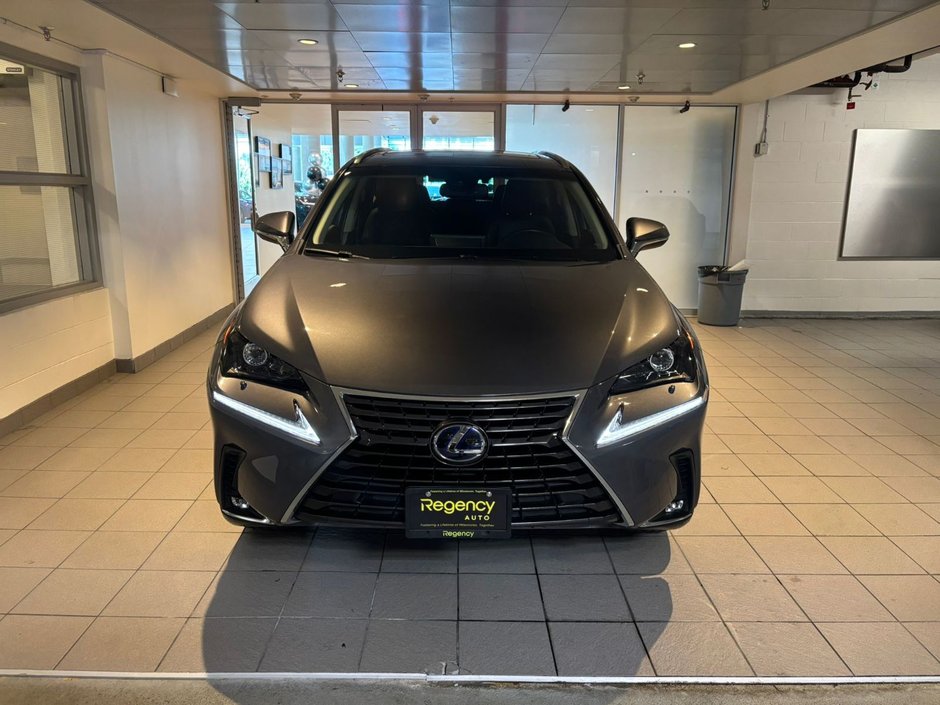 2019 Lexus NX 300h AWD PREMIUM-1