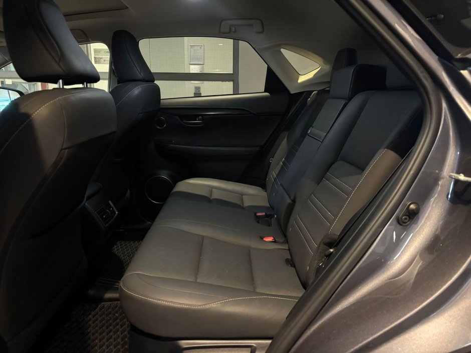 2019 Lexus NX 300h AWD PREMIUM-5