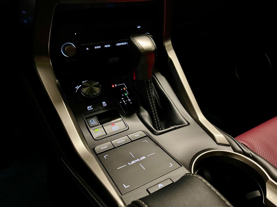 2021 Lexus NX 300h AWD HYBRID EXECUTIVE PKG-17