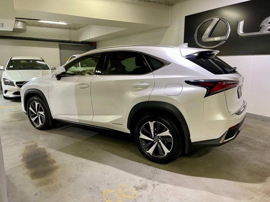 2021 Lexus NX 300h AWD HYBRID EXECUTIVE PKG-4