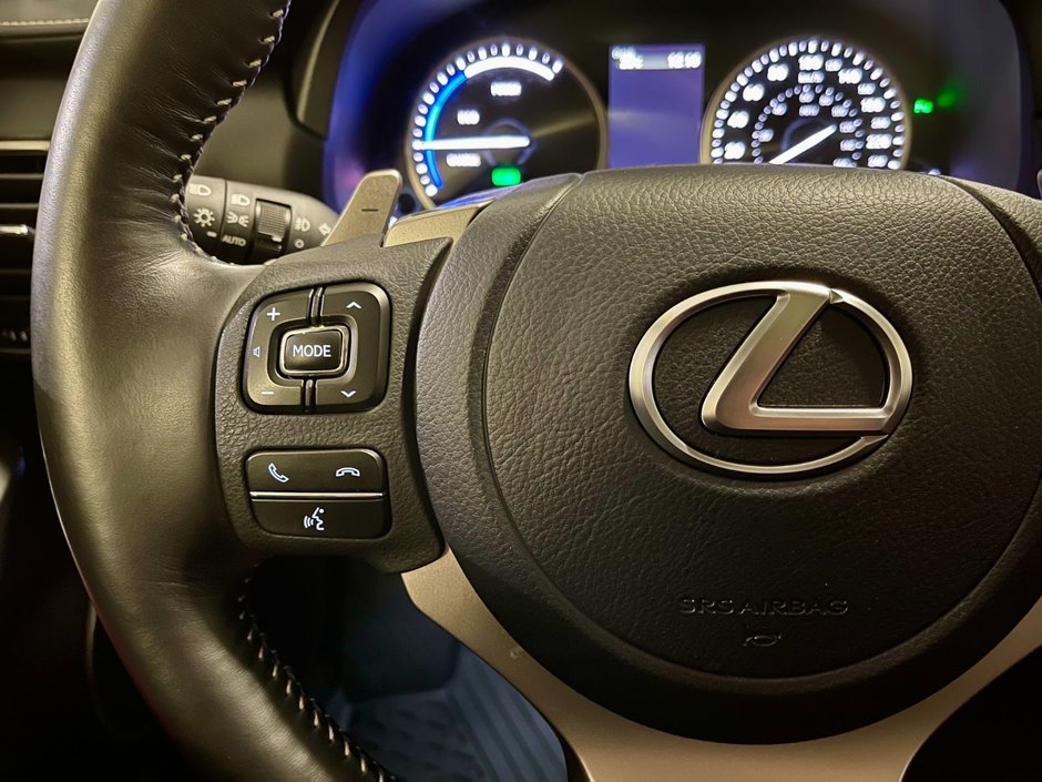 2021 Lexus NX 300h AWD HYBRID EXECUTIVE PKG-14