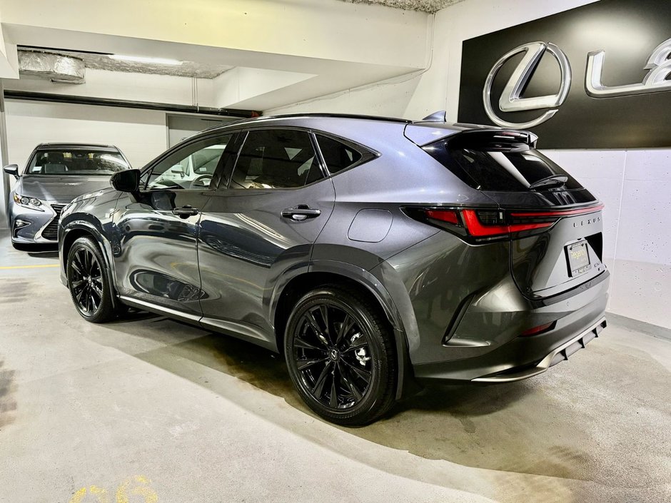 2022 Lexus NX 350-6