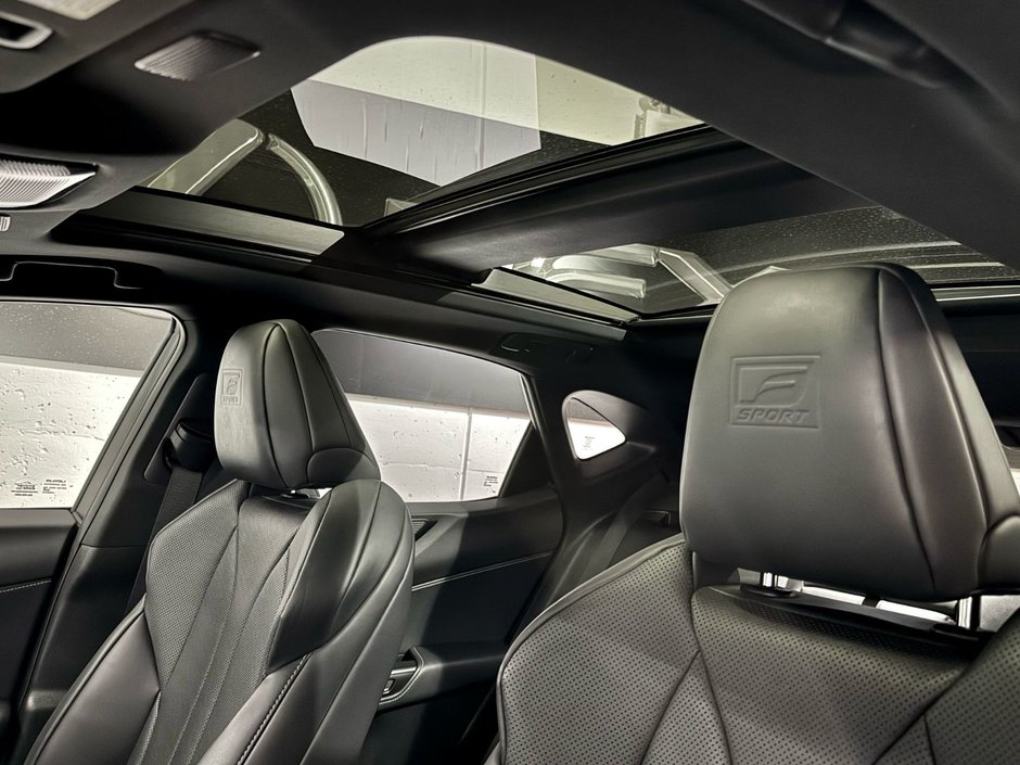 2022 Lexus NX 350-22
