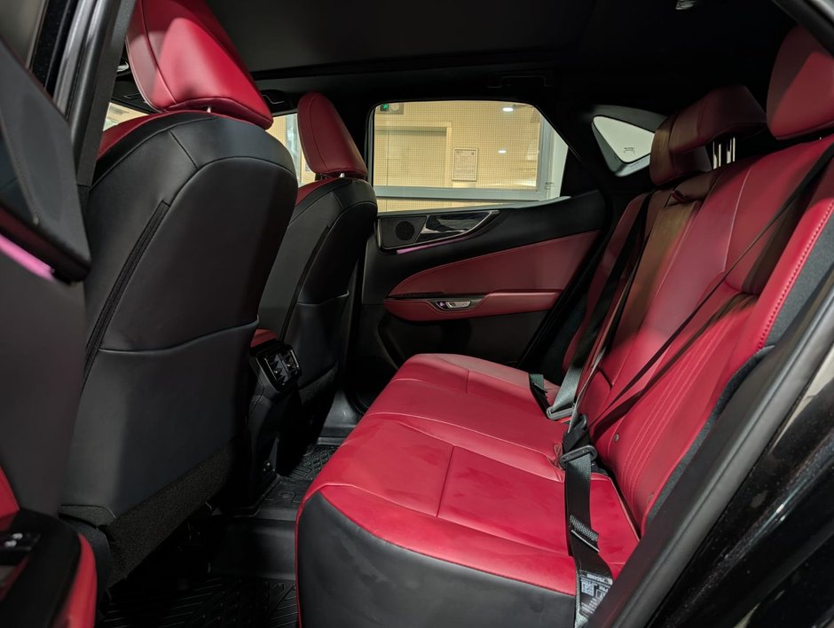 2022 Lexus NX 350-6