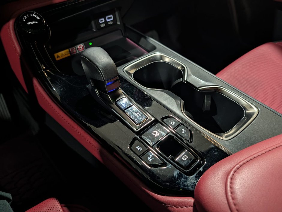 2022 Lexus NX 350-14
