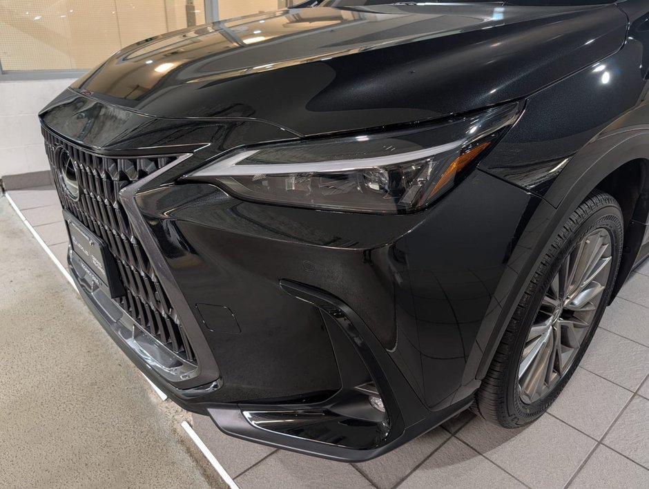 2022 Lexus NX 350-2