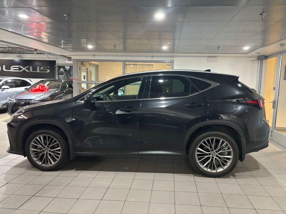 2022 Lexus NX 350-2