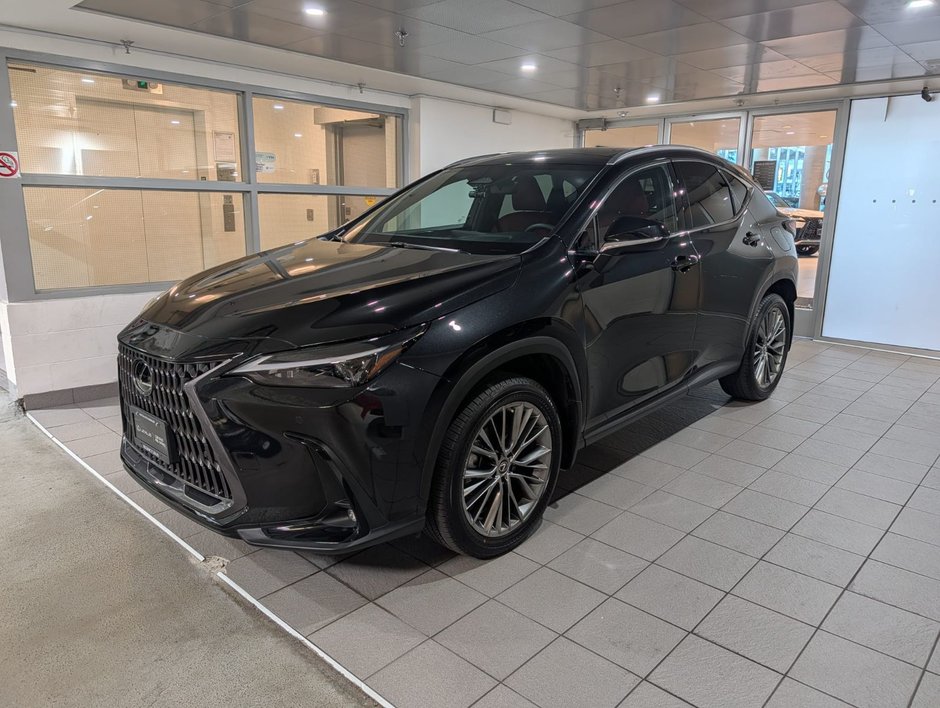 2022 Lexus NX 350-0