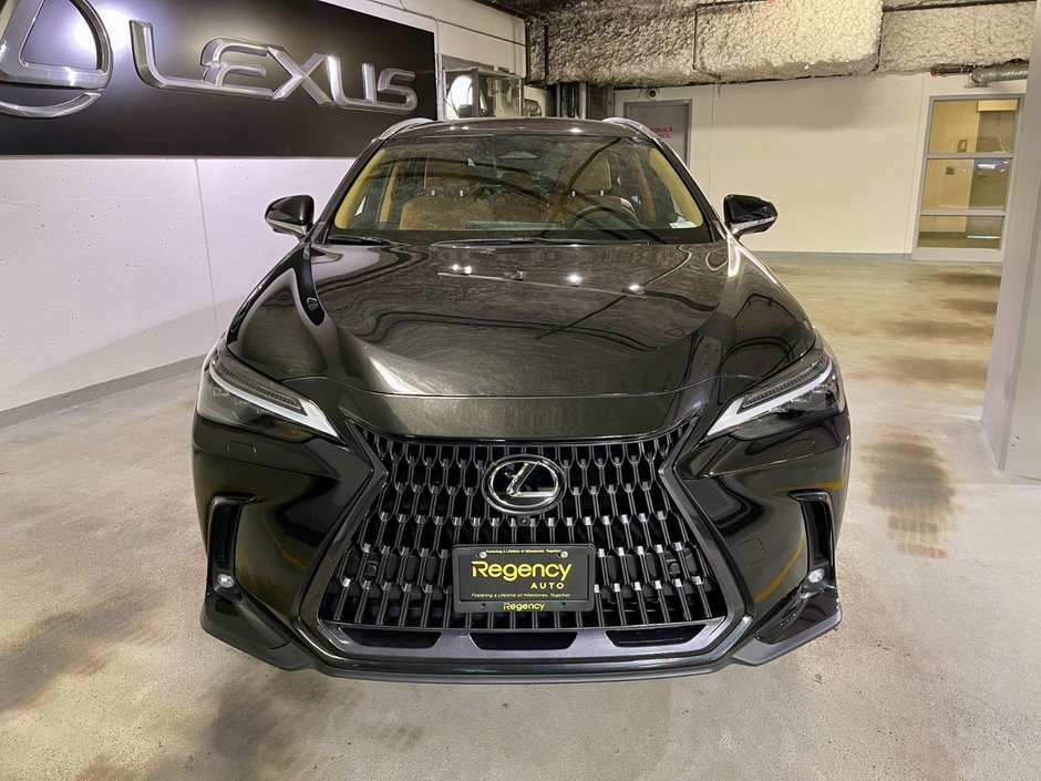 2023 Lexus NX 350 ULTRA LUXURY PKG-2