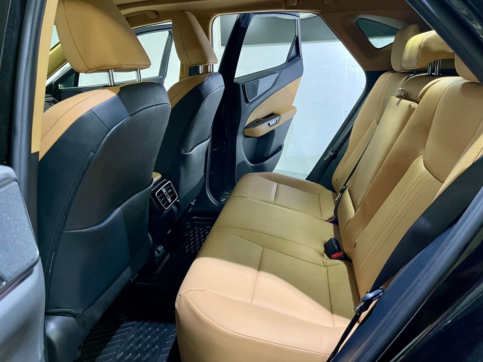 2023 Lexus NX 350 ULTRA LUXURY PKG-9