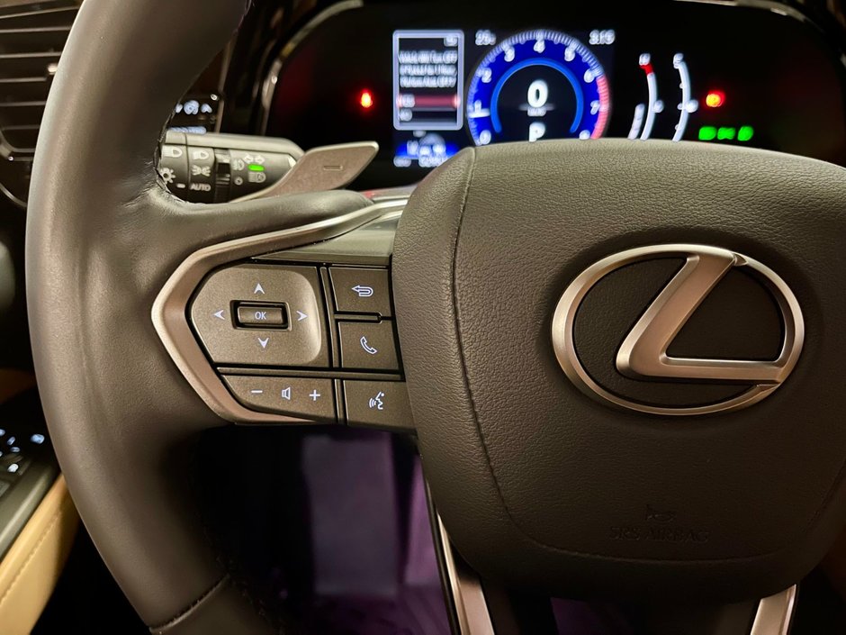 2023 Lexus NX 350 ULTRA LUXURY PKG-15