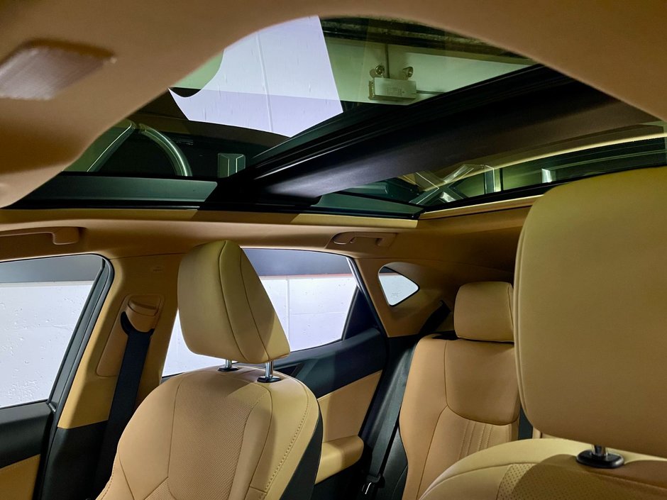 2023 Lexus NX 350 ULTRA LUXURY PKG-22