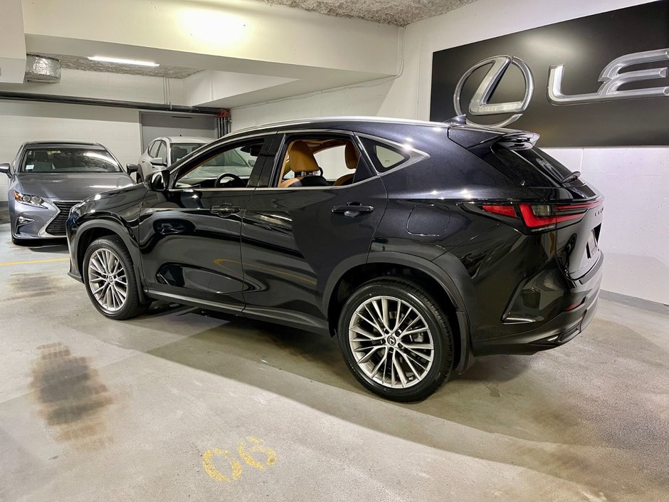 2023 Lexus NX 350 ULTRA LUXURY PKG-5