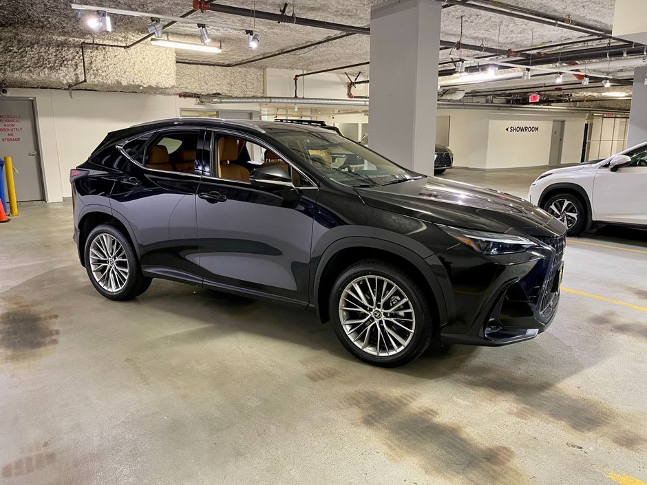 2023 Lexus NX 350 ULTRA LUXURY PKG-3