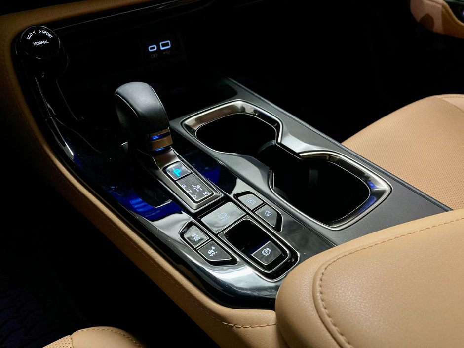 2023 Lexus NX 350 ULTRA LUXURY PKG-18