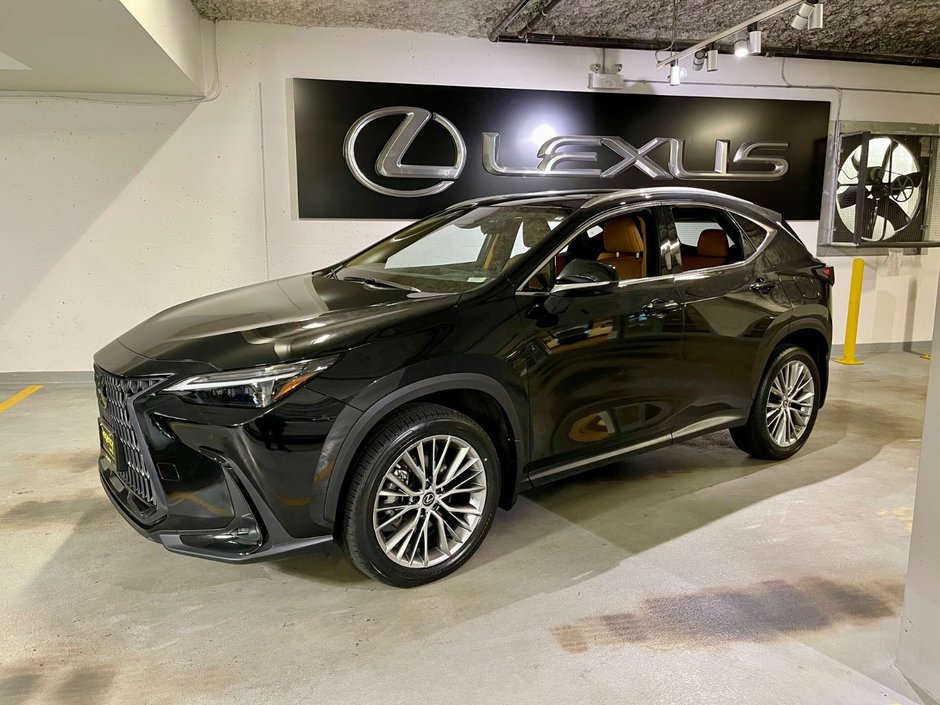 2023 Lexus NX 350 ULTRA LUXURY PKG-0