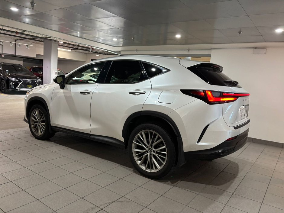 2023 Lexus NX 350-3