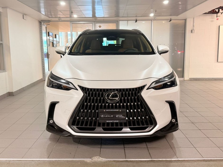 2024 Lexus NX 350-1