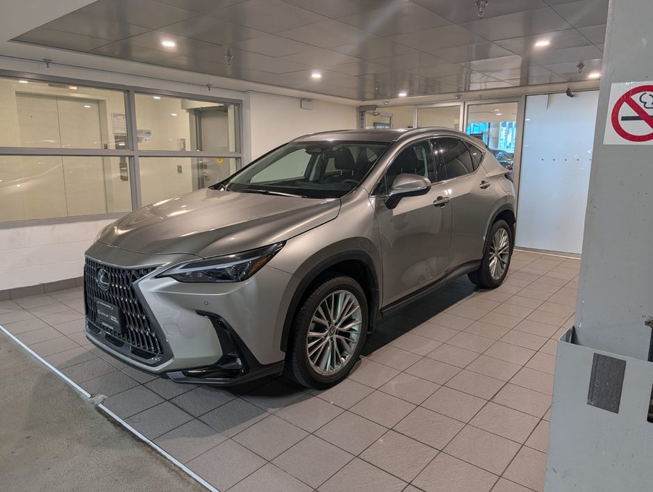 2024 Lexus NX 350 Ultra Premium-0