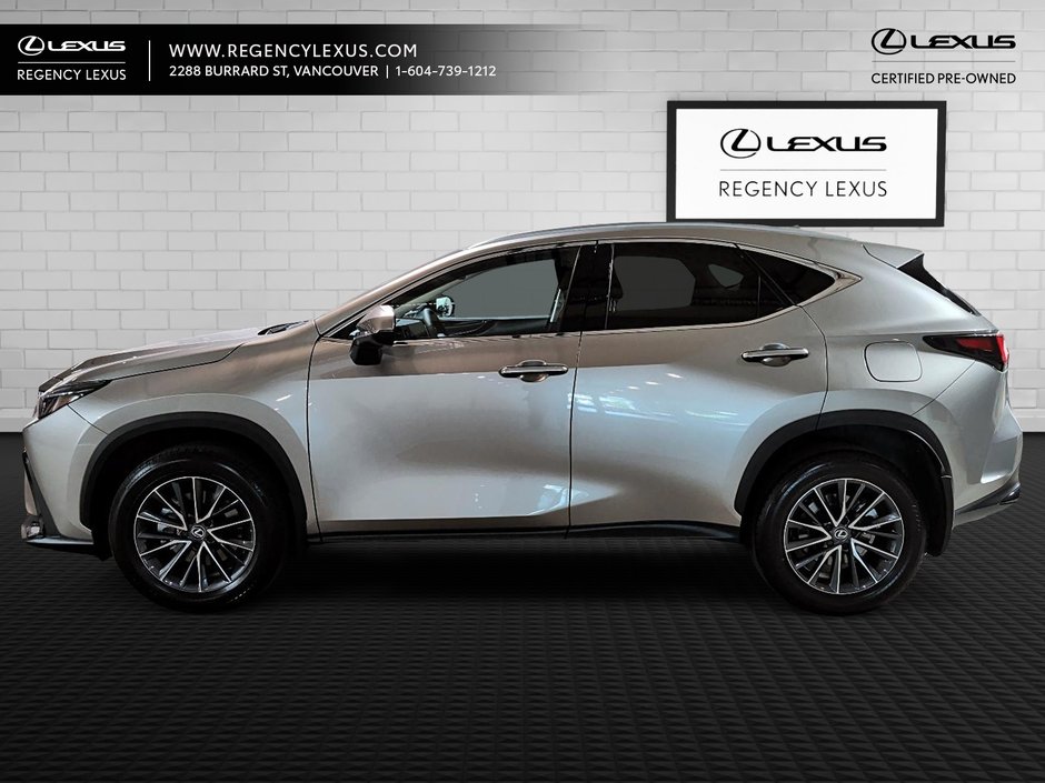 2025 Lexus NX 350-2