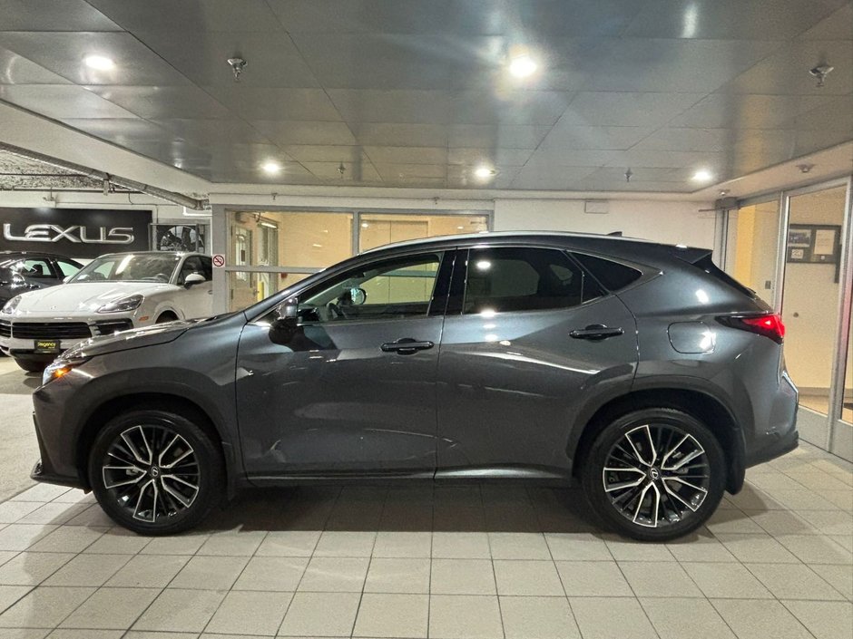 2025 Lexus NX 350-2