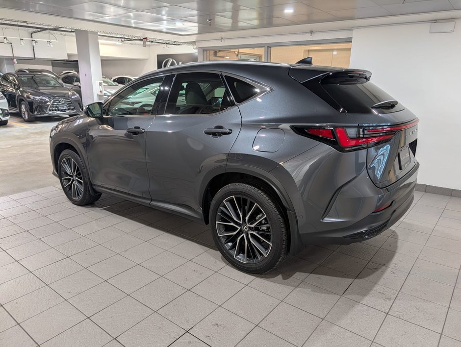 2025 Lexus NX 350-3