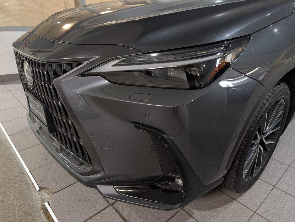 2025 Lexus NX 350-1
