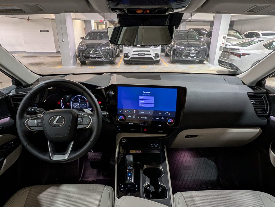 2025 Lexus NX 350-10