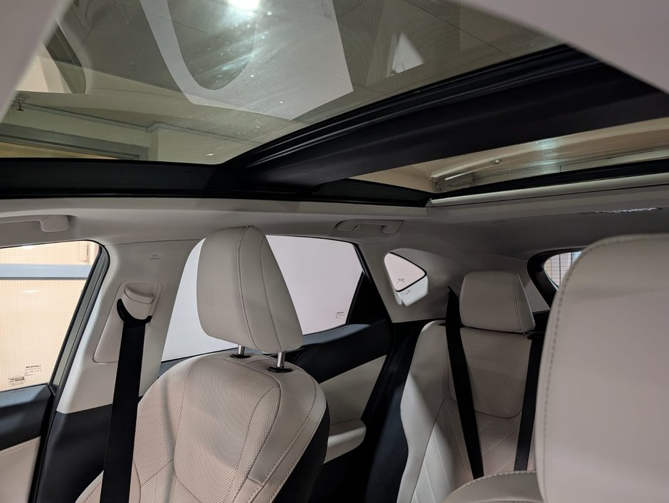 2025 Lexus NX 350-19