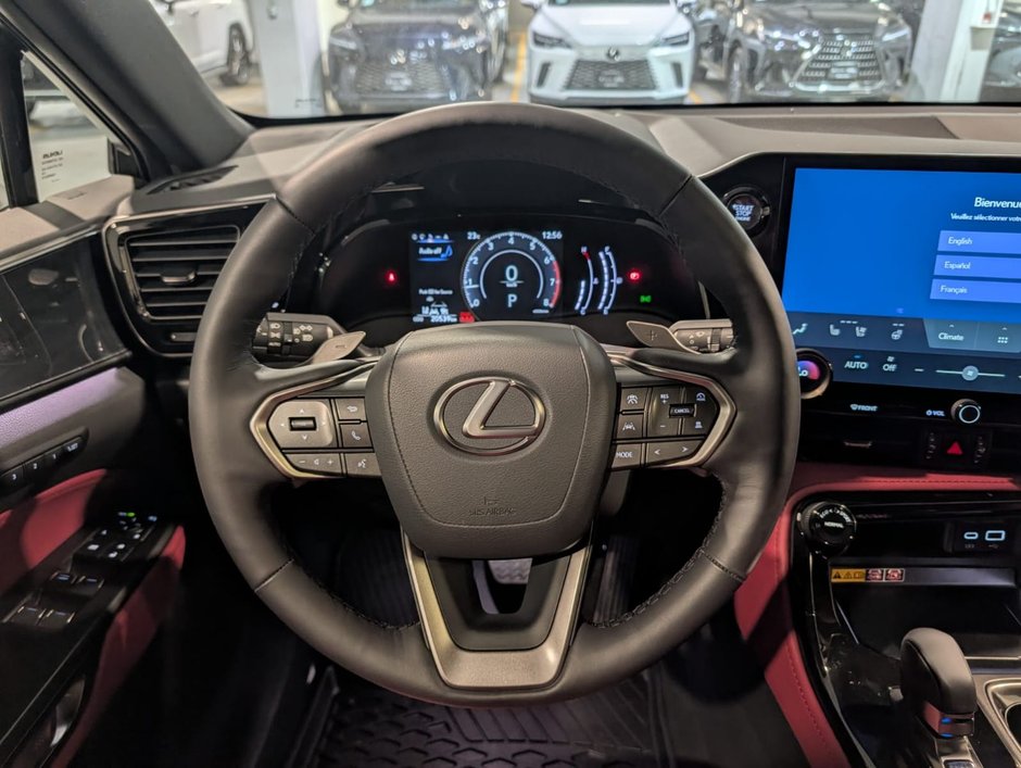 2025 Lexus NX 350 LUXURY PACKAGE-11