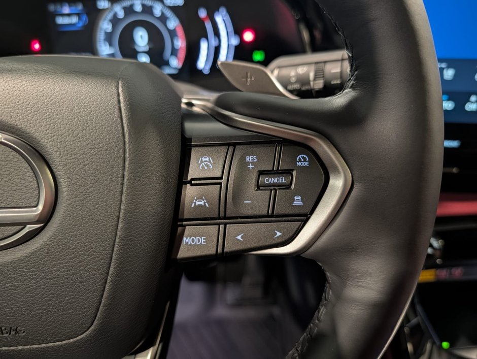 2025 Lexus NX 350 LUXURY PACKAGE-13