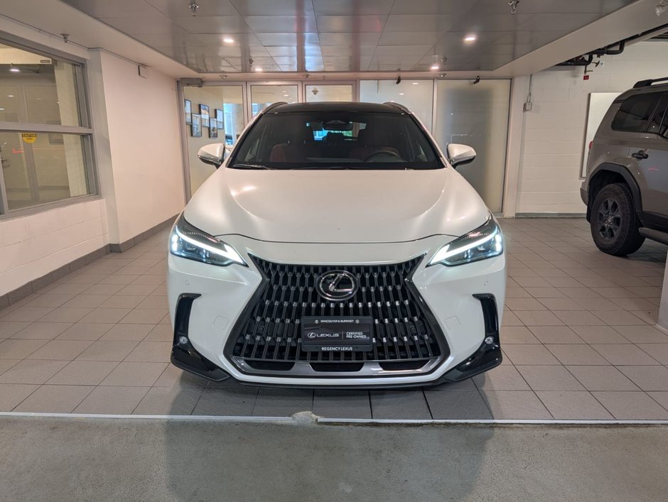 2025 Lexus NX 350 LUXURY PACKAGE-2