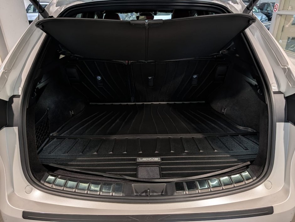 2025 Lexus NX 350 LUXURY PACKAGE-8