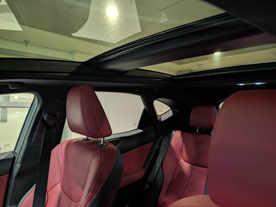 2025 Lexus NX 350 LUXURY PACKAGE-19