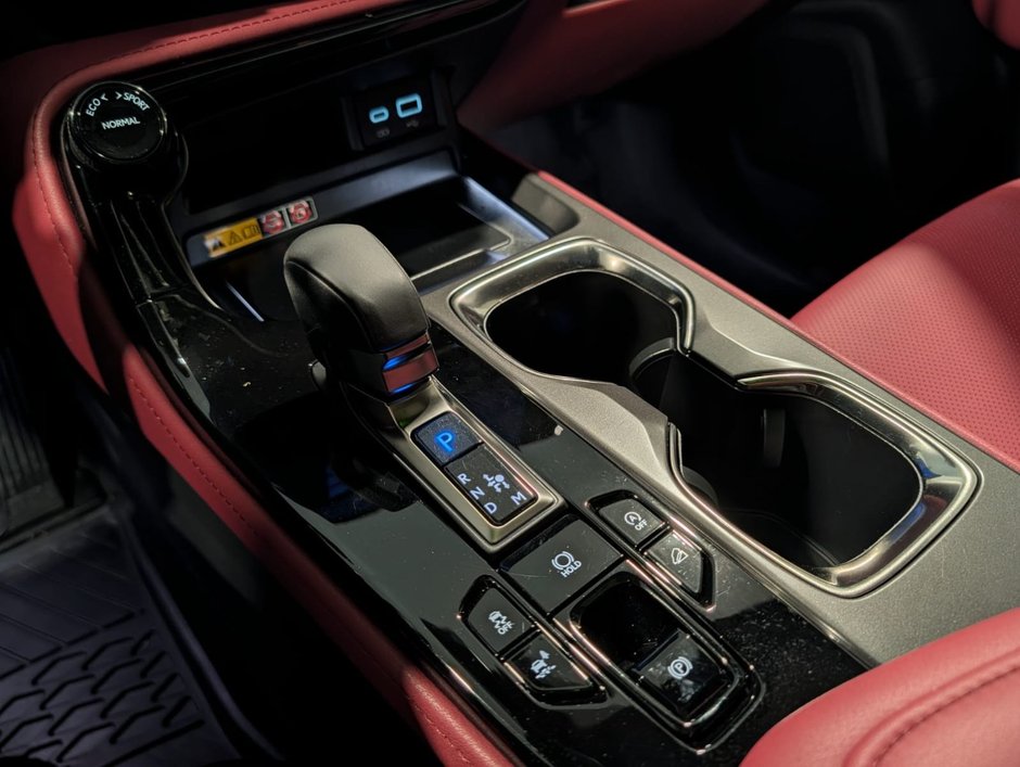 2025 Lexus NX 350 LUXURY PACKAGE-15