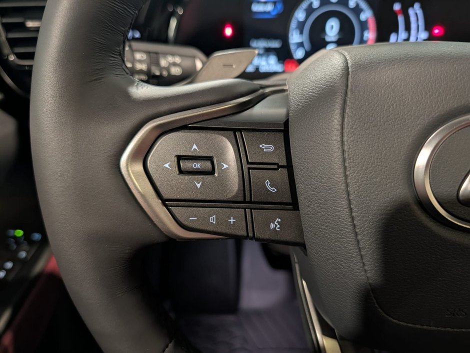 2025 Lexus NX 350 LUXURY PACKAGE-12